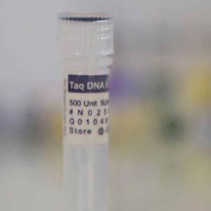 Taq DNA Polymerase (5 U/µl)