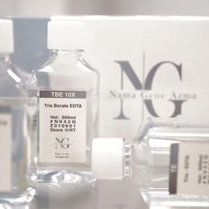 TBE 10X