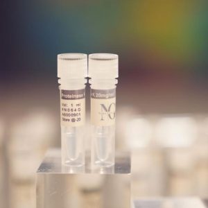 Proteinase K 20mg/ml